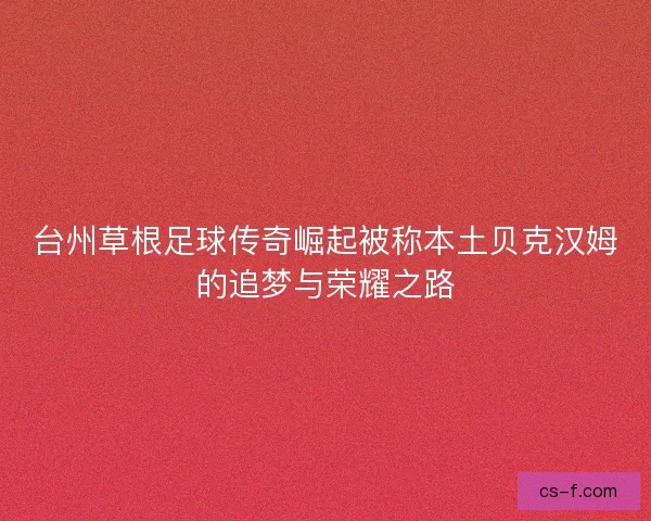 台州草根足球传奇崛起被称本土贝克汉姆的追梦与荣耀之路