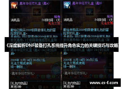 《深度解析DNF装备打孔系统提升角色实力的关键技巧与攻略》